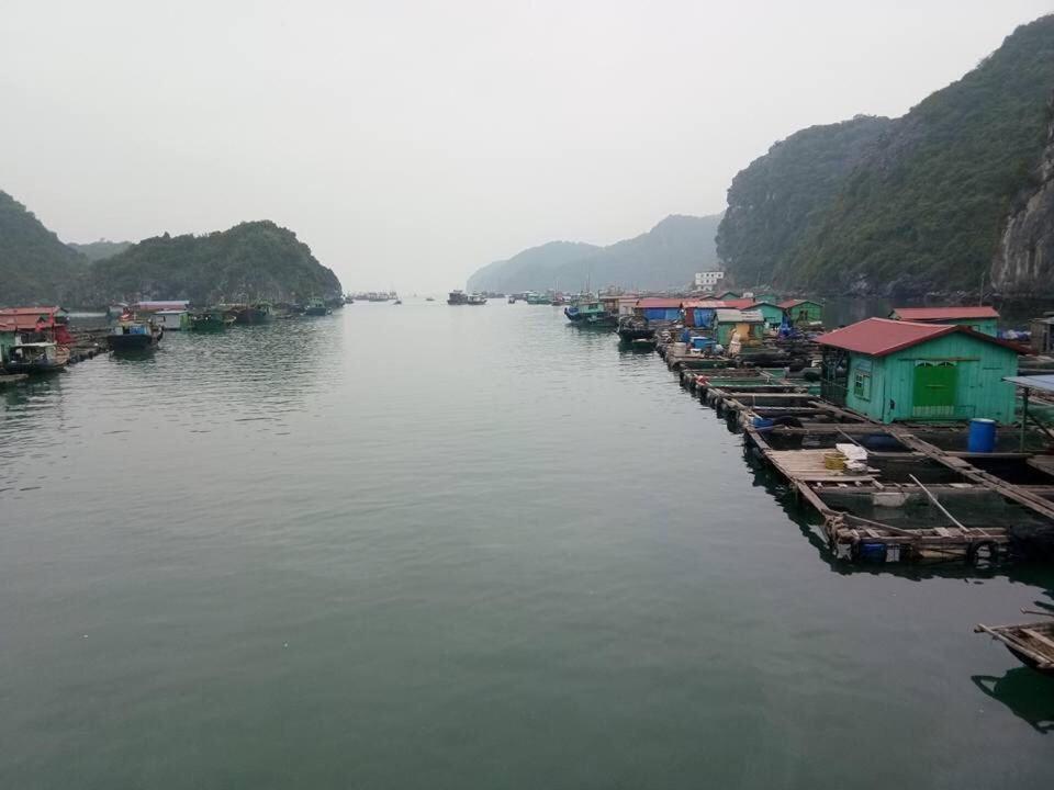 Cat Ba Daily Life Hotel Dong Khe Sau Eksteriør billede